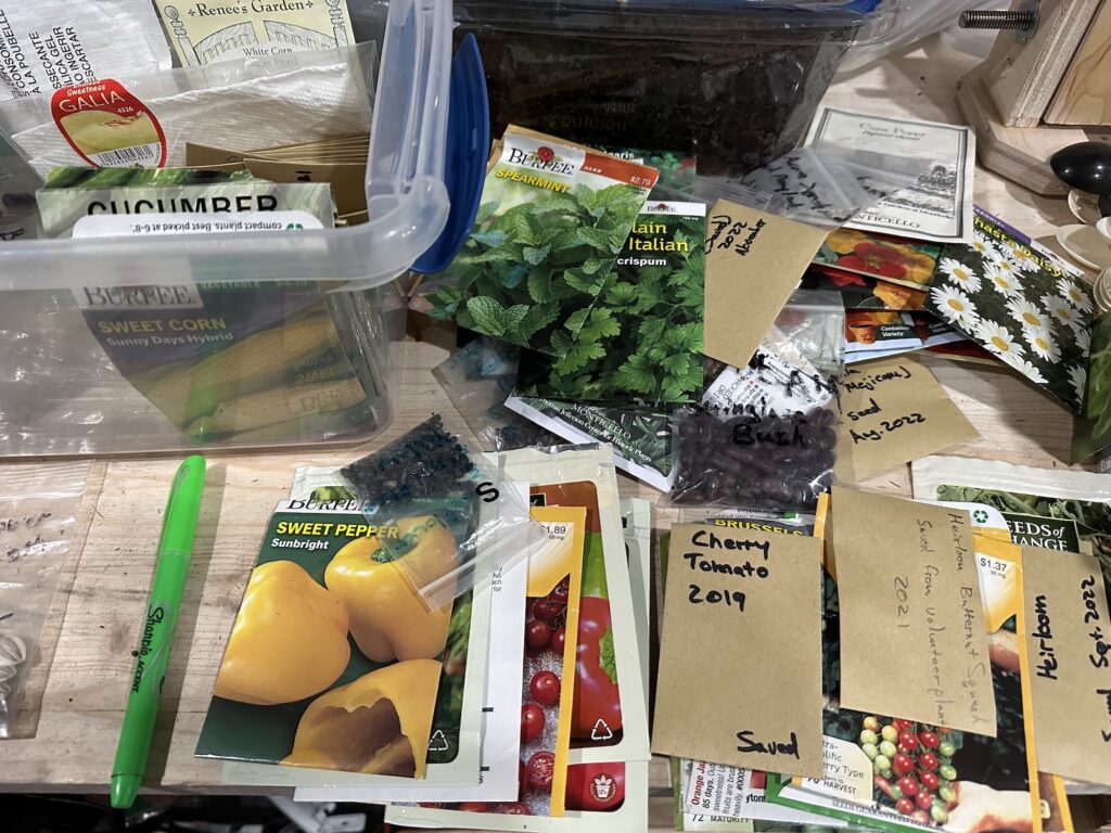 Assorted seed packets, some old, some new, many saved from previous year's gardens.